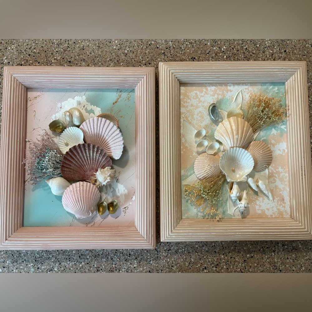 Seashell Shadow Box Wall Art Set